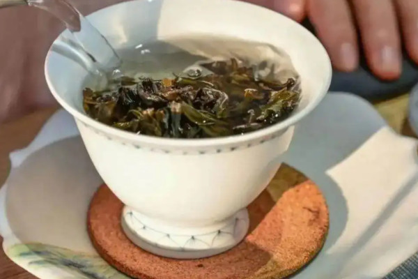 白芽奇兰是红茶还是绿茶，白芽奇兰茶是什么茶