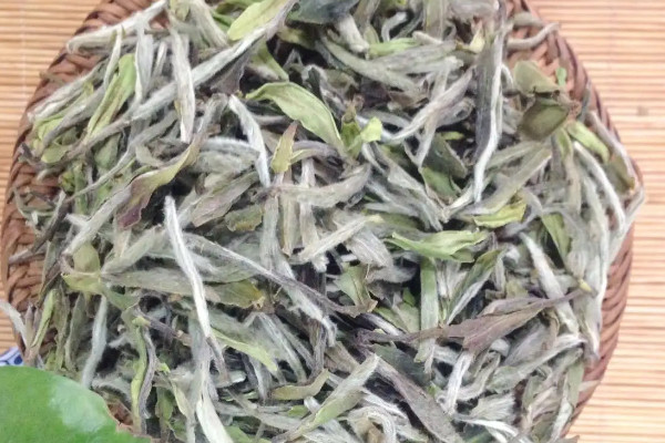 高山茶的特点，高山茶有什么特点