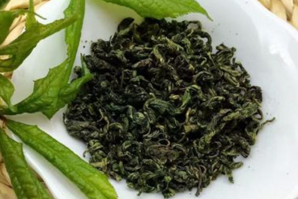 刺五加茶是什么茶，刺五加茶属于哪种茶