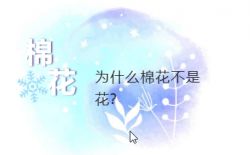 为什么棉花不是花-种类解析