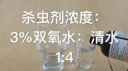 <strong>双氧水在菜园花园里有哪些用途？</strong>