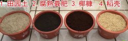 家用种植土和营养土哪种适合盆栽植物？