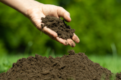 <strong>除草剂的种类有哪些？能够解除土壤中除草剂药害的特效药有哪</strong>