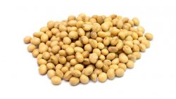 <strong>影响麦茬大豆产量的因素有哪些 如何做好防护措施</strong>
