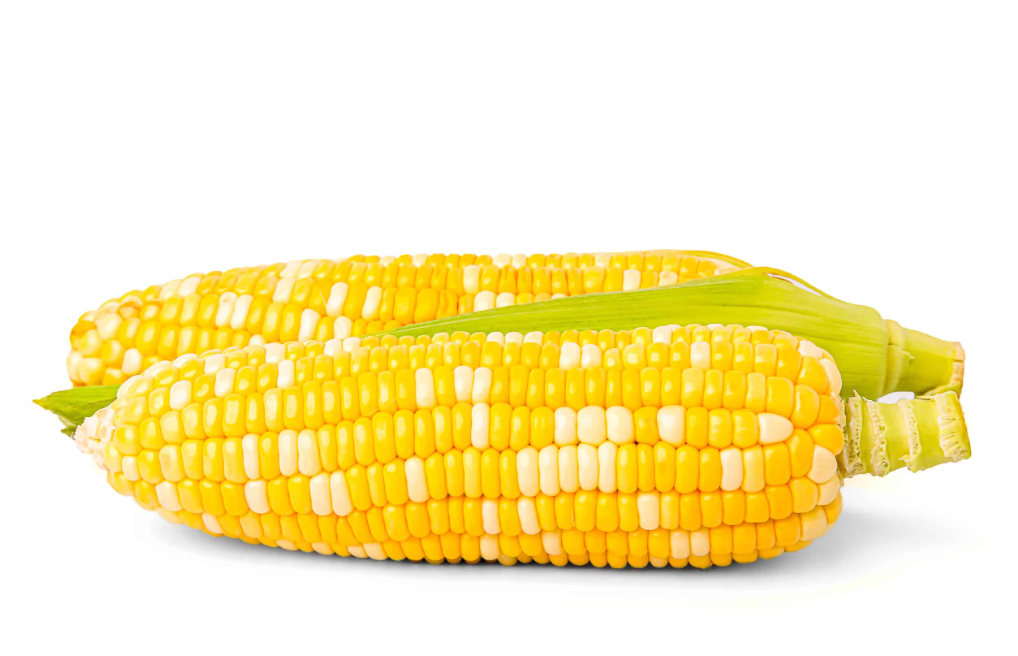 人工掰玉米一天能掰多少亩?