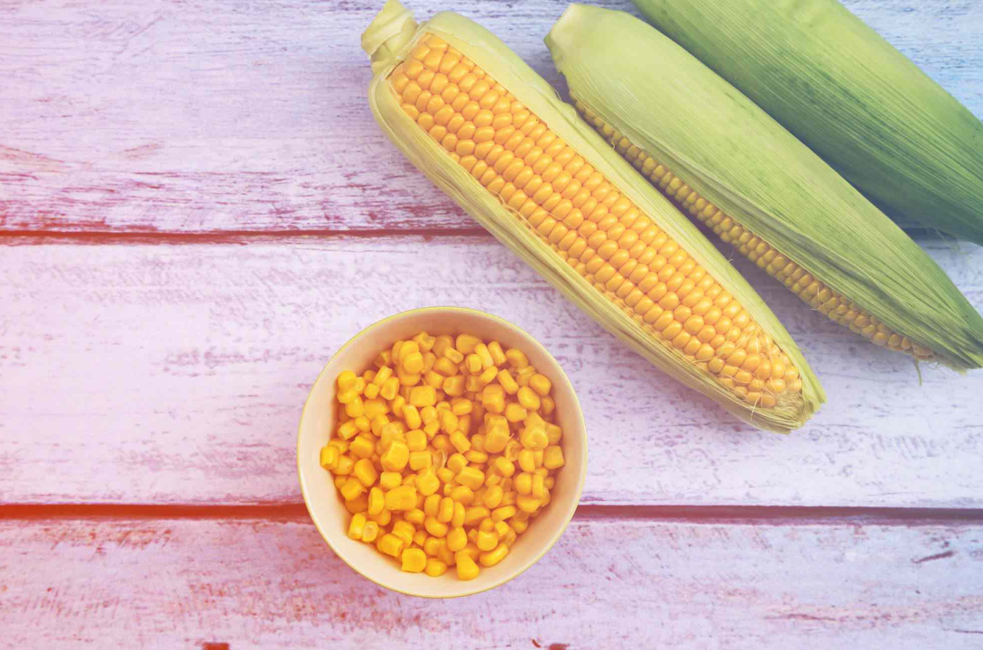 玉米成熟需要几个月？