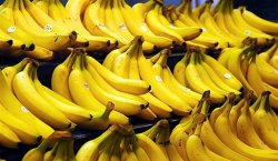 <strong>冬季香蕉施肥要点，高产香蕉的好方法</strong>