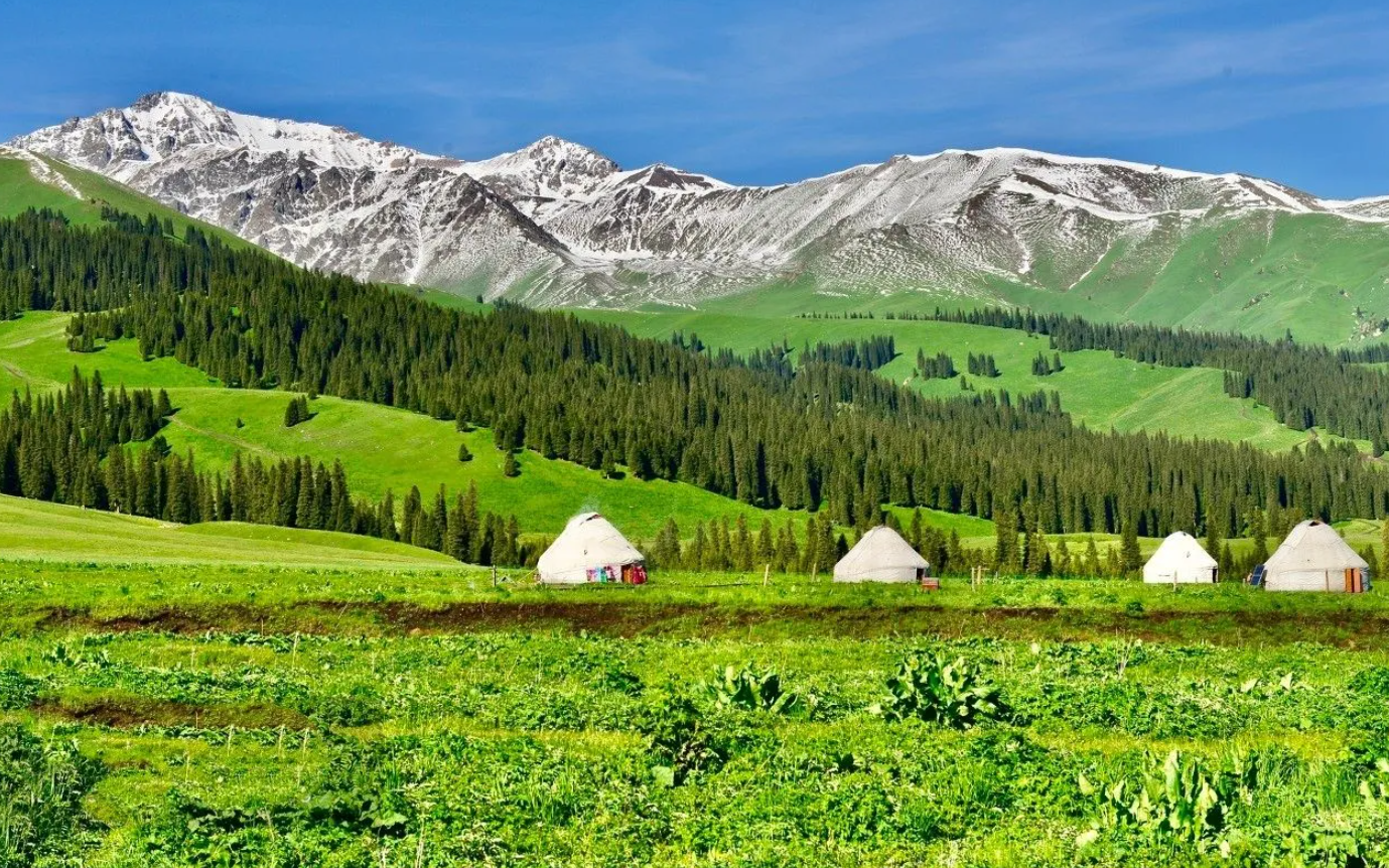 新疆是我国农业大省吗？