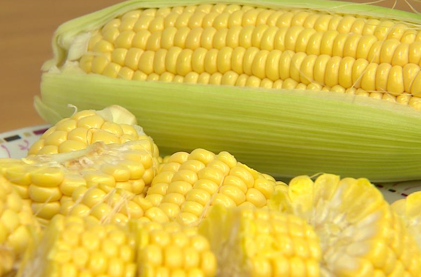 万盛105玉米品种介绍