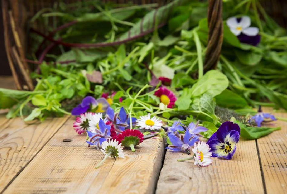 不同季节有哪些花可以吃？花的营养价值和食用禁忌介绍