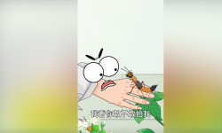 隐翅虫是什么，被隐翅虫咬了咬注意什么，为什么不能用手去拍