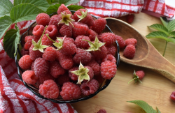 <strong>树莓种植技术分享，有哪些注意事项？</strong>