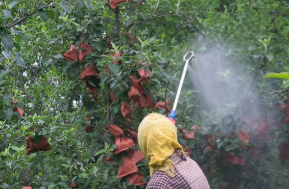 苹果树上的螨虫可以使用杀虫脒消灭吗？