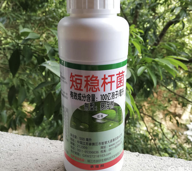 杀螟杆菌是什么细菌，可以消灭的害虫有哪些？