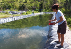 生石灰倒入池塘里可以消灭寄生虫和病原菌吗?