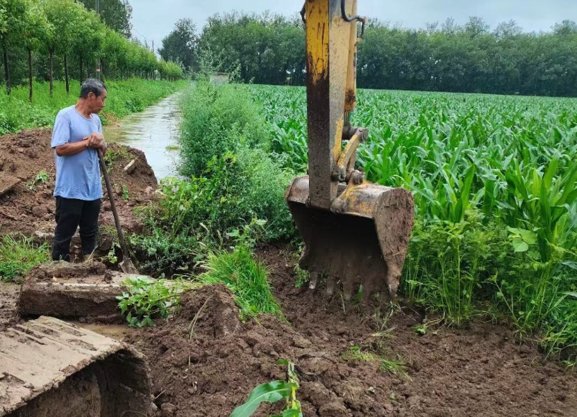 低洼地区种植玉米如何建设排水系统?