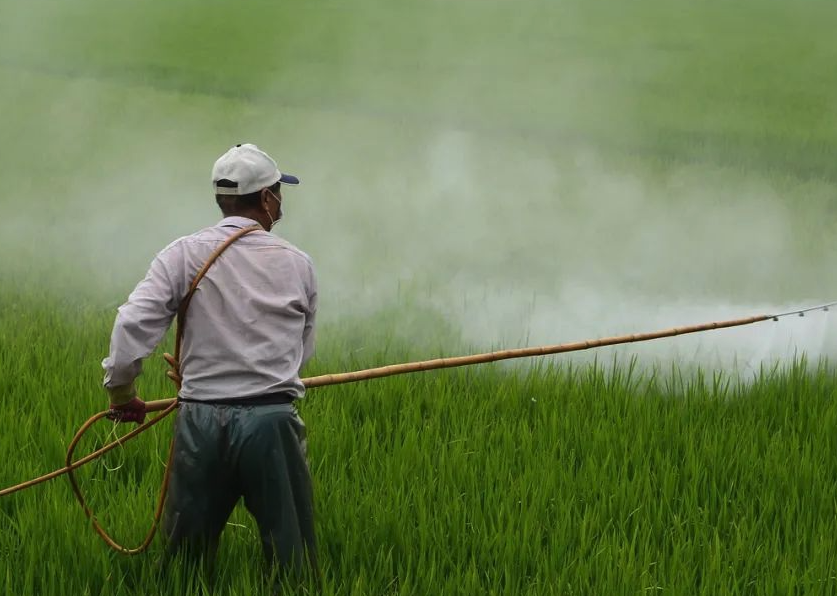 对硫磷在植物体内转变为对氧磷的过程是什么样的?