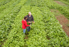 <strong>植物基因工程转座子标记法是什么?</strong>