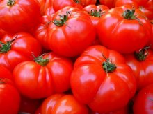 <b>番茄高产10大法，农友都赞顶呱呱</b>