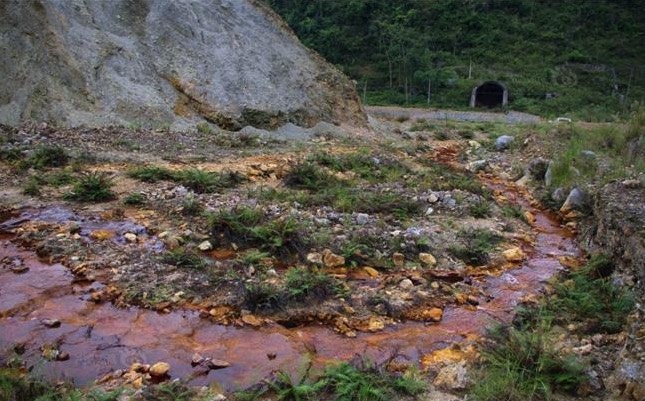 重金属污染对酸性土壤有哪些危害？