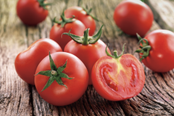 <b>转基因番茄外源基因扩散是什么问题？</b>