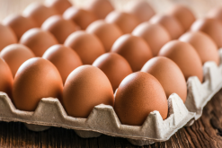 <b>鸡场种蛋选择的蛋形和蛋重有什么要求？</b>