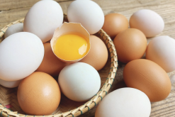 <b>鸡场为什么会挑选没有粪便的种蛋？</b>