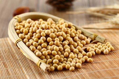 大豆蛋白质含量测定，大豆的蛋白质含量是多少？
