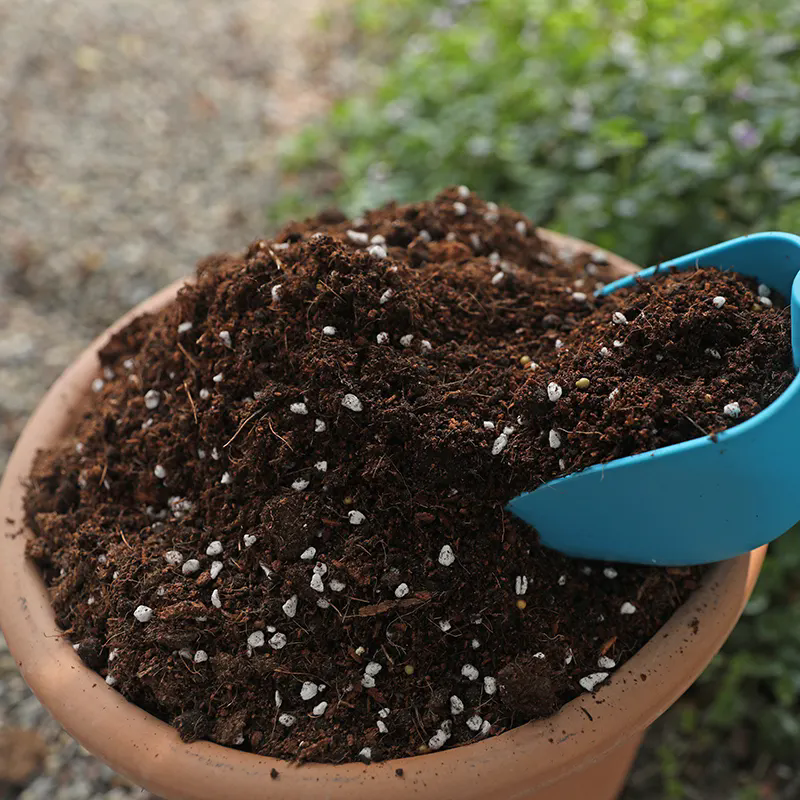 家庭盆栽养花土壤怎么配制和注意事项
