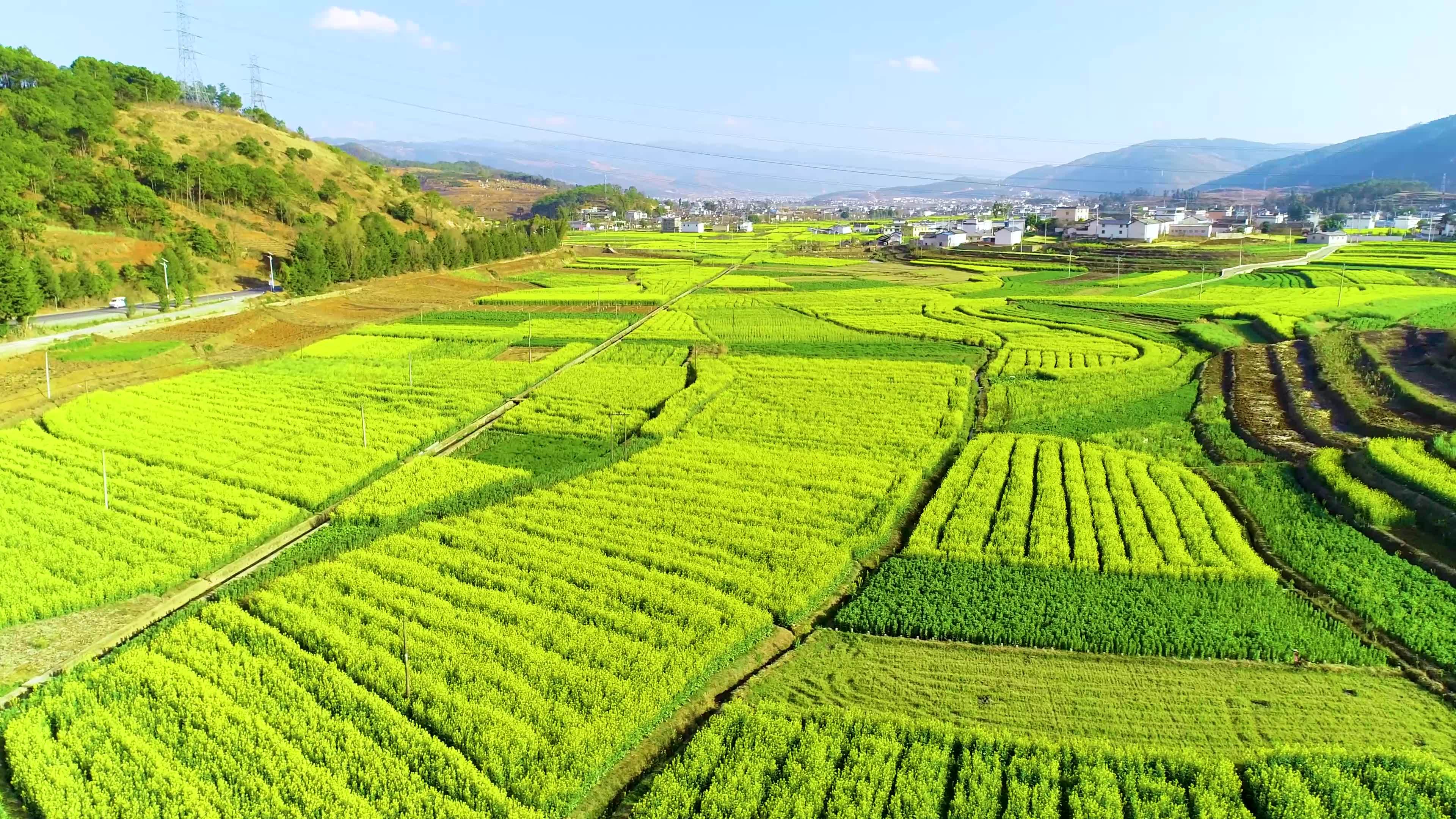 农业种植施用化肥方案及注意事项