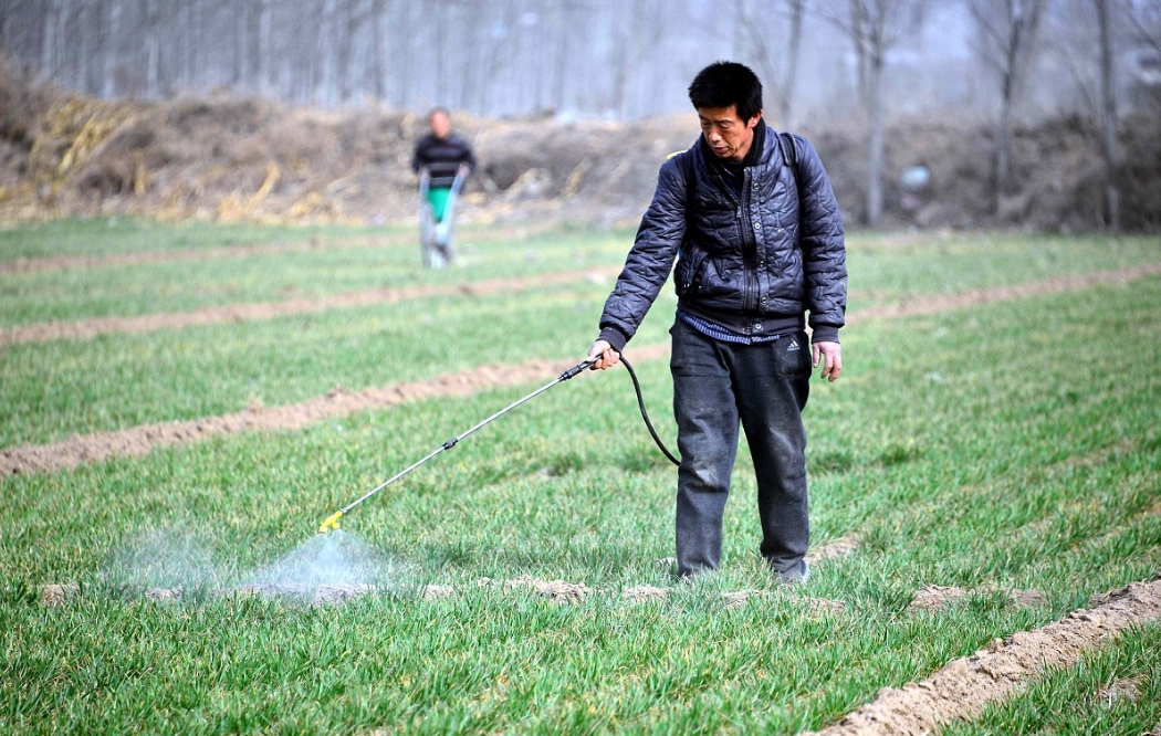 农业种植中有哪些常用的高效安全除草剂及使用注意事项