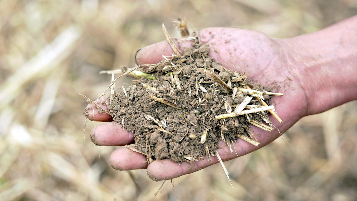 绿色循环新典范：稻草还田激活土壤生命力