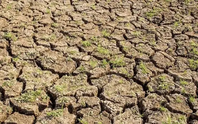 土壤板结之谜：深层剖析原因与防治策略，恢复土壤活力