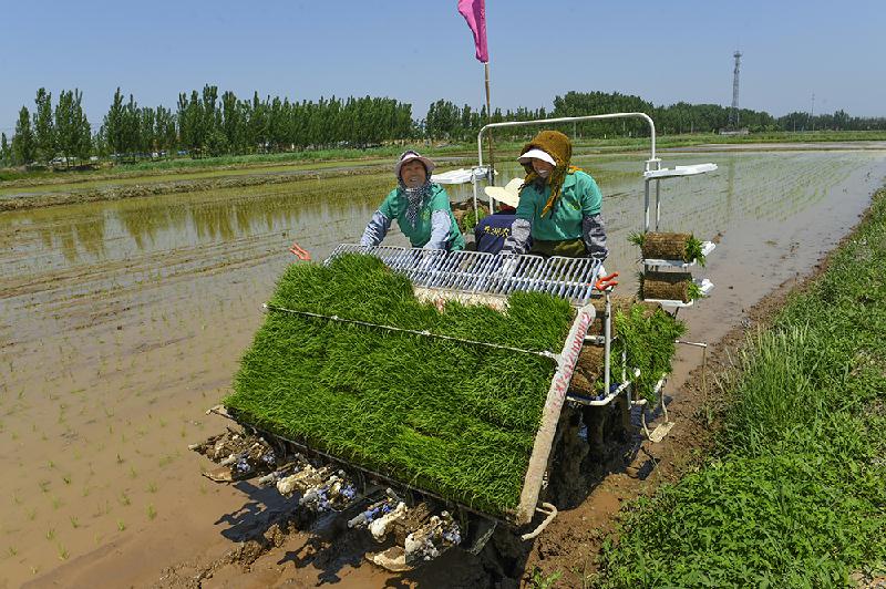 农业种植农机选购指南：精准匹配需求，高效提升产量与效益