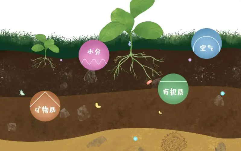 <b>绿色宣言：解锁有机质土壤肥沃秘密，有机质含量MAX升级！</b>