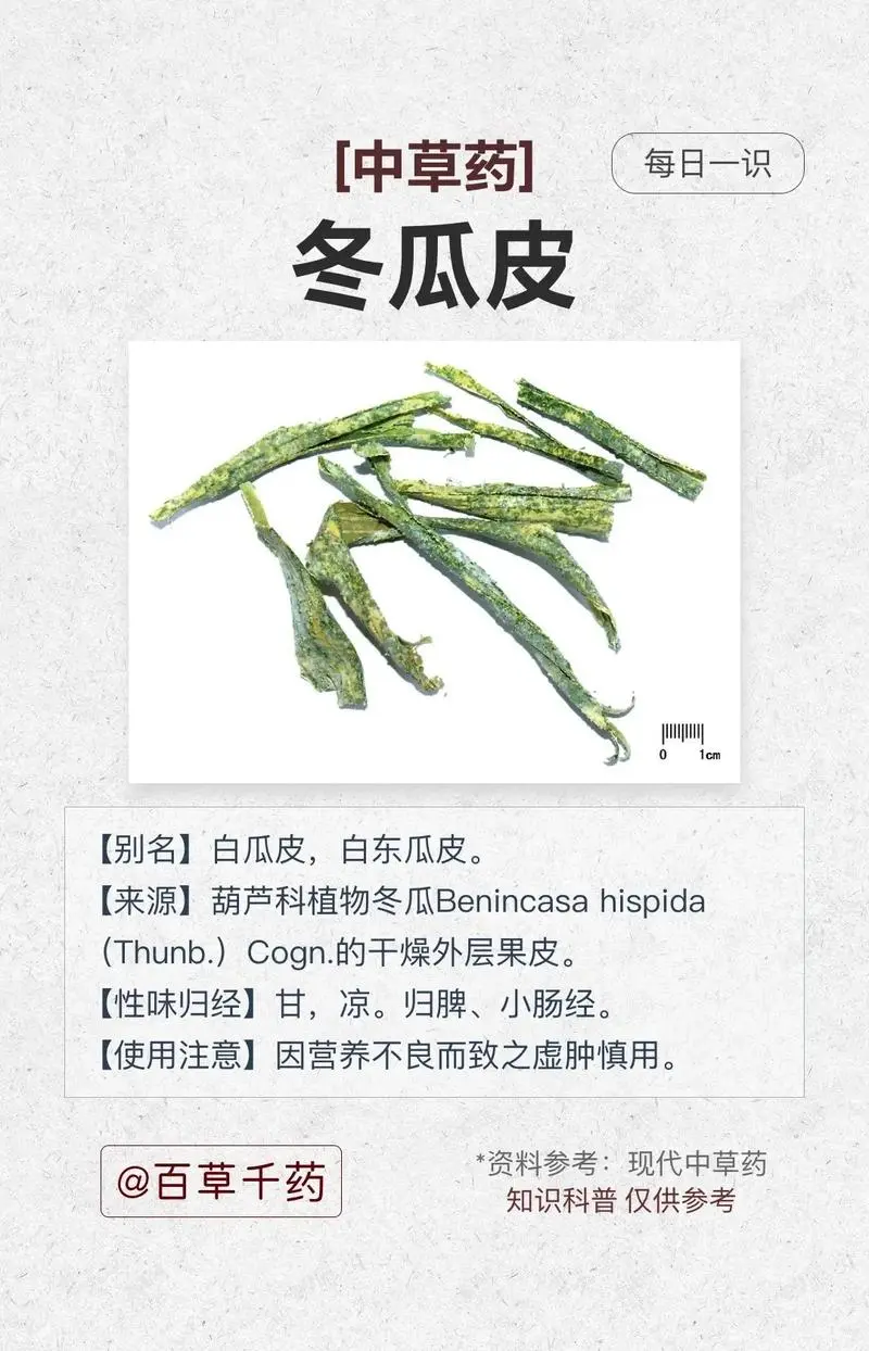 冬瓜皮的功效与作用不容小觑-清热解毒，利尿消肿的天然良方