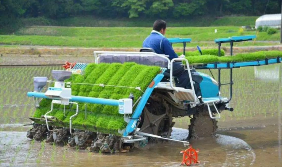 绿色农业种植新篇章：水稻插秧机工作原理介绍，让农业生产更高效、更环保