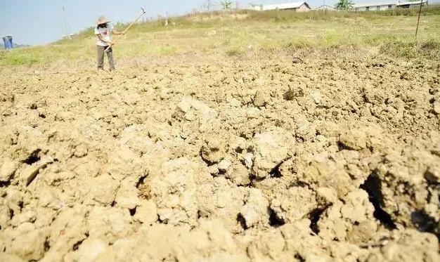 种植土壤恶化危机，减少化肥依赖，守护土壤生命力