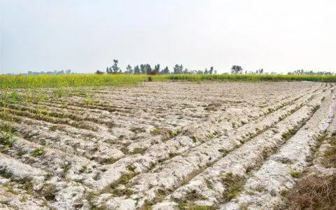 种植土壤恶化危机，减少化肥依赖，守护土壤生命力