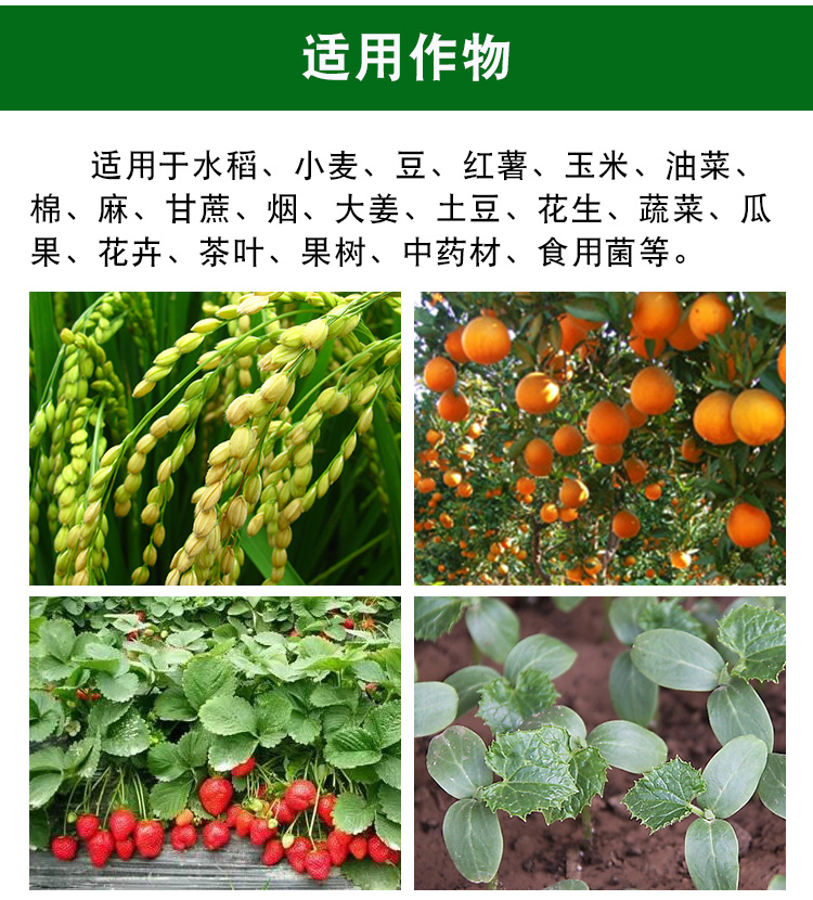 植物调节剂是激素还是肥料？超越激素与肥料的新科技。