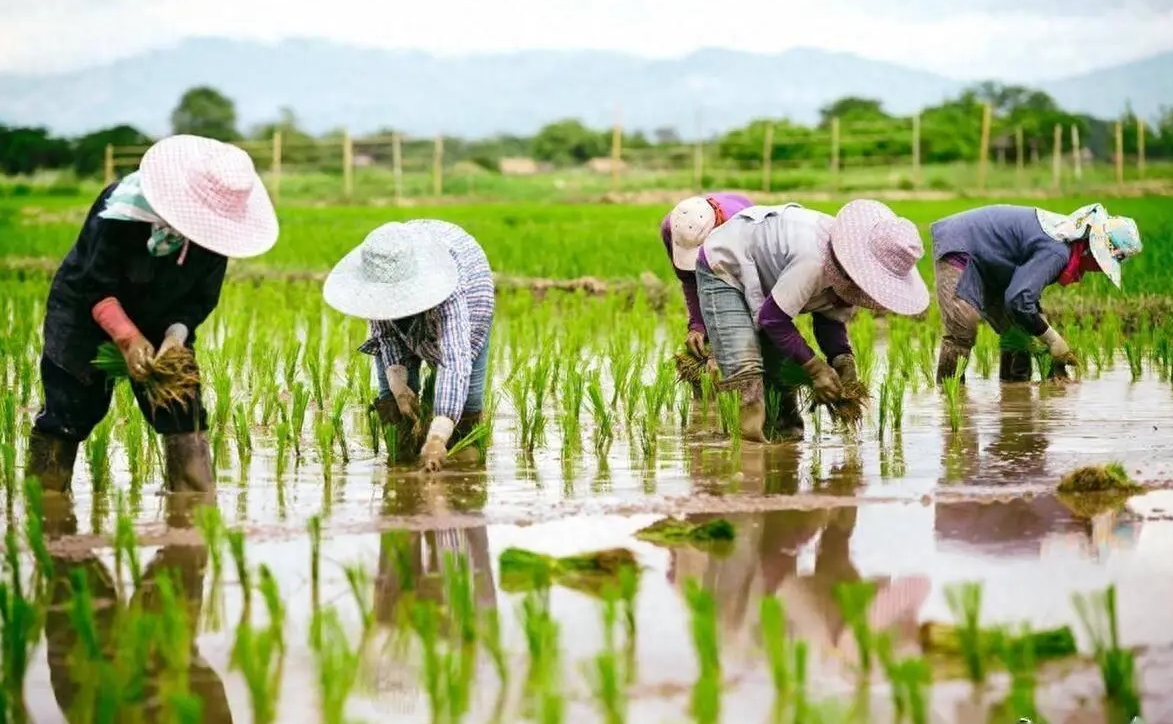 农业杀虫杀菌混用秘籍，农业黑科技高效组合。