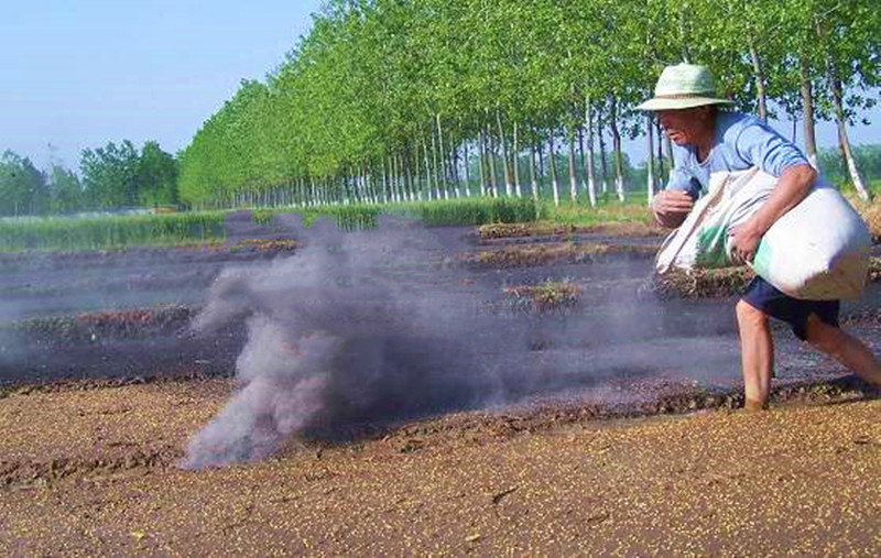 告别化肥依赖-农家草木灰如何变身高效肥料？