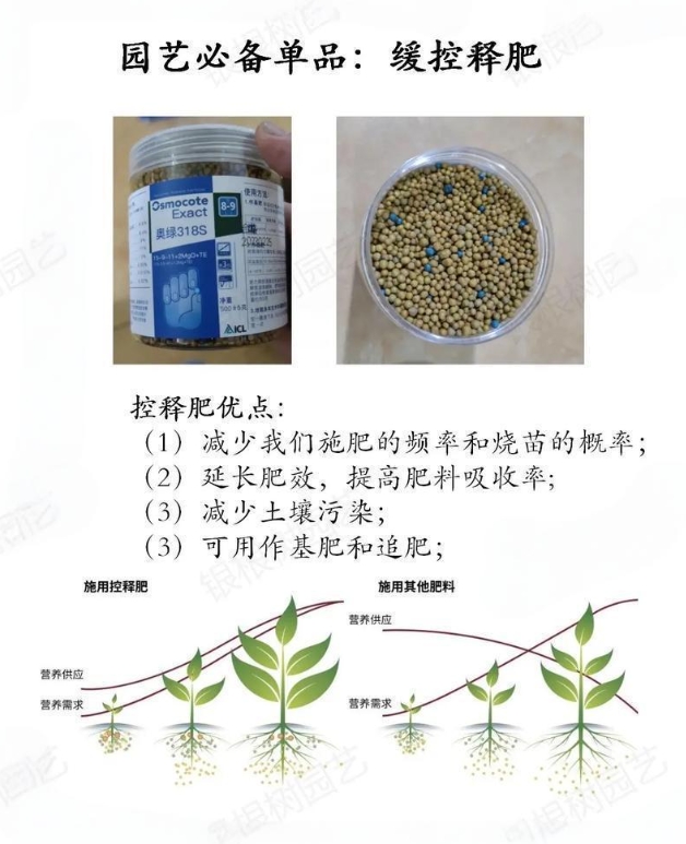 缓控释肥：为作物量身定制的“营养餐”