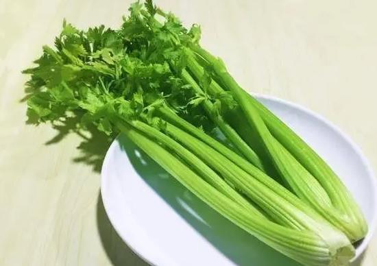 芹菜也有“身材”之分？粗芹菜和细芹菜有什么区别