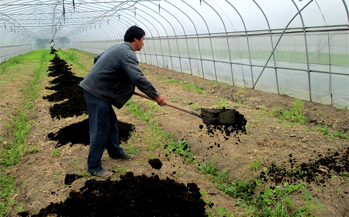 秋季如何选用肥料调节土壤养分平衡