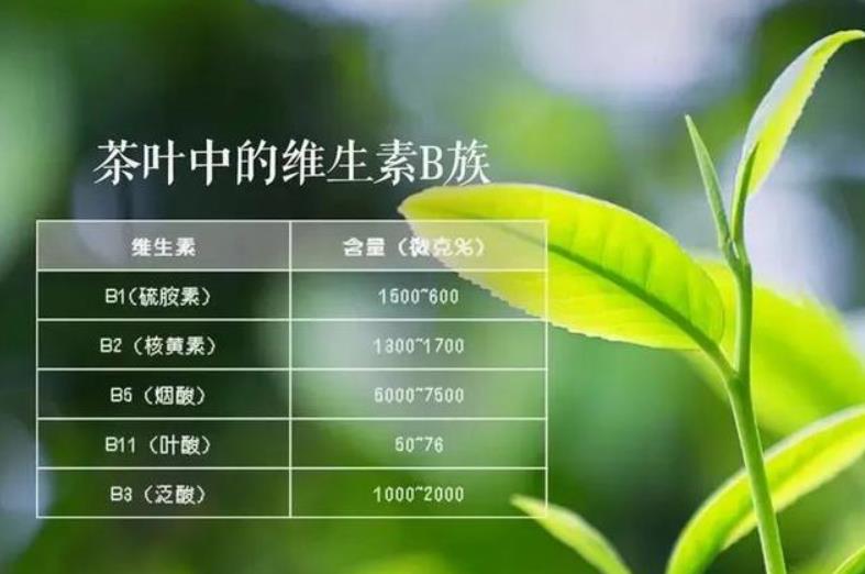 茶叶的营养价值与保健功效：解锁健康生活的秘密武器