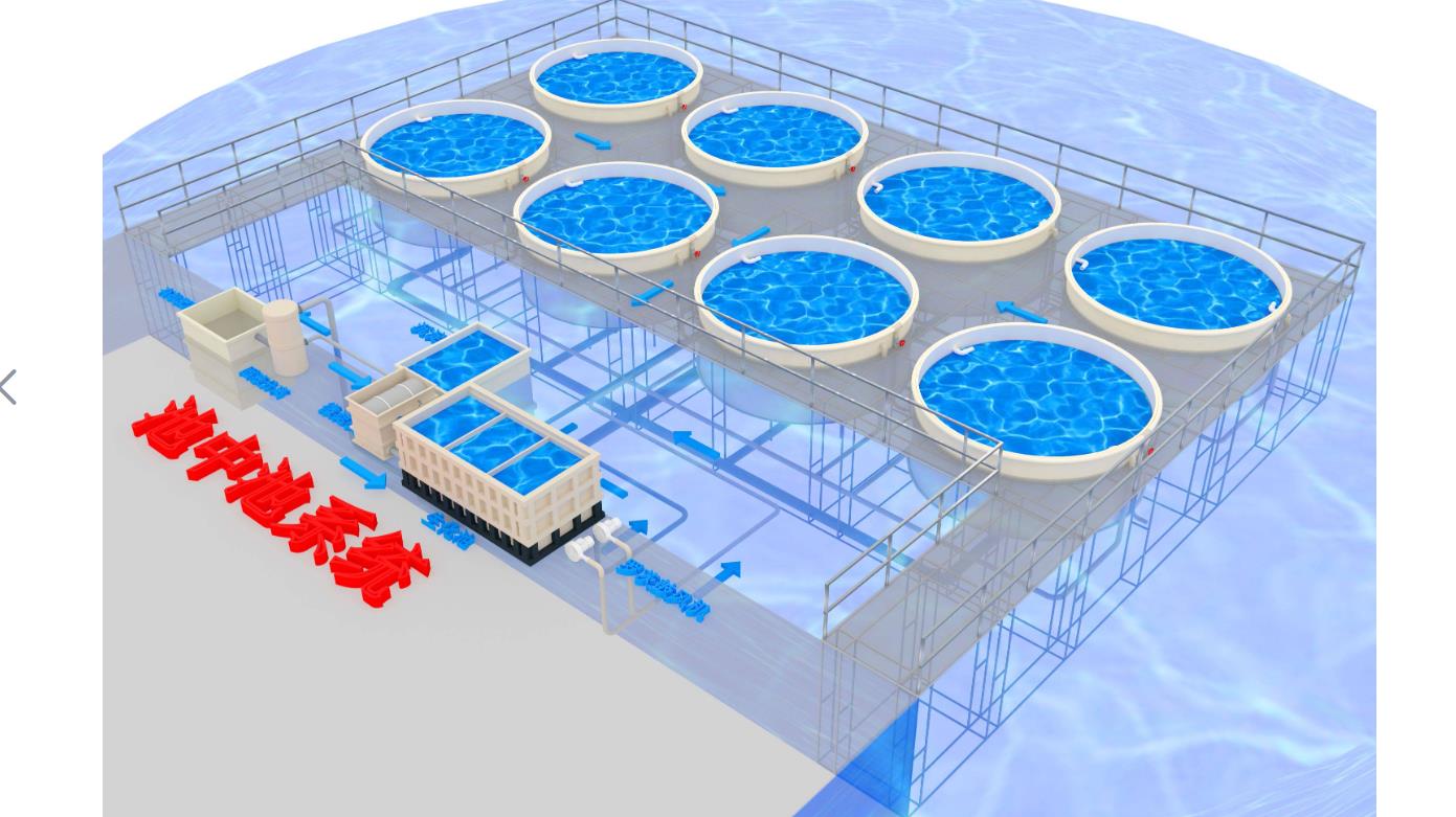 智慧渔业新模式-循环水养殖系统的优缺点分析